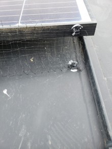 鳥防止ネット2 20190611