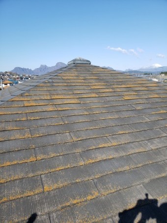 既存屋根20200422