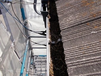 雨樋ゴミ掃除