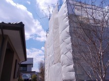 メッシュシート