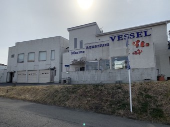 現調時の家全体