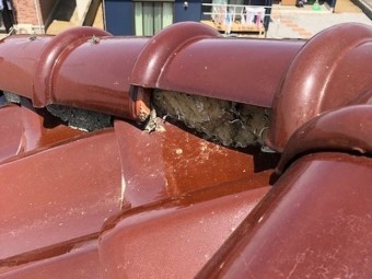 瓦がずれている