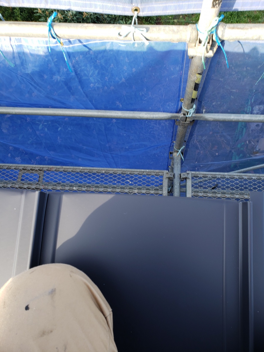 掴み込み後20181124