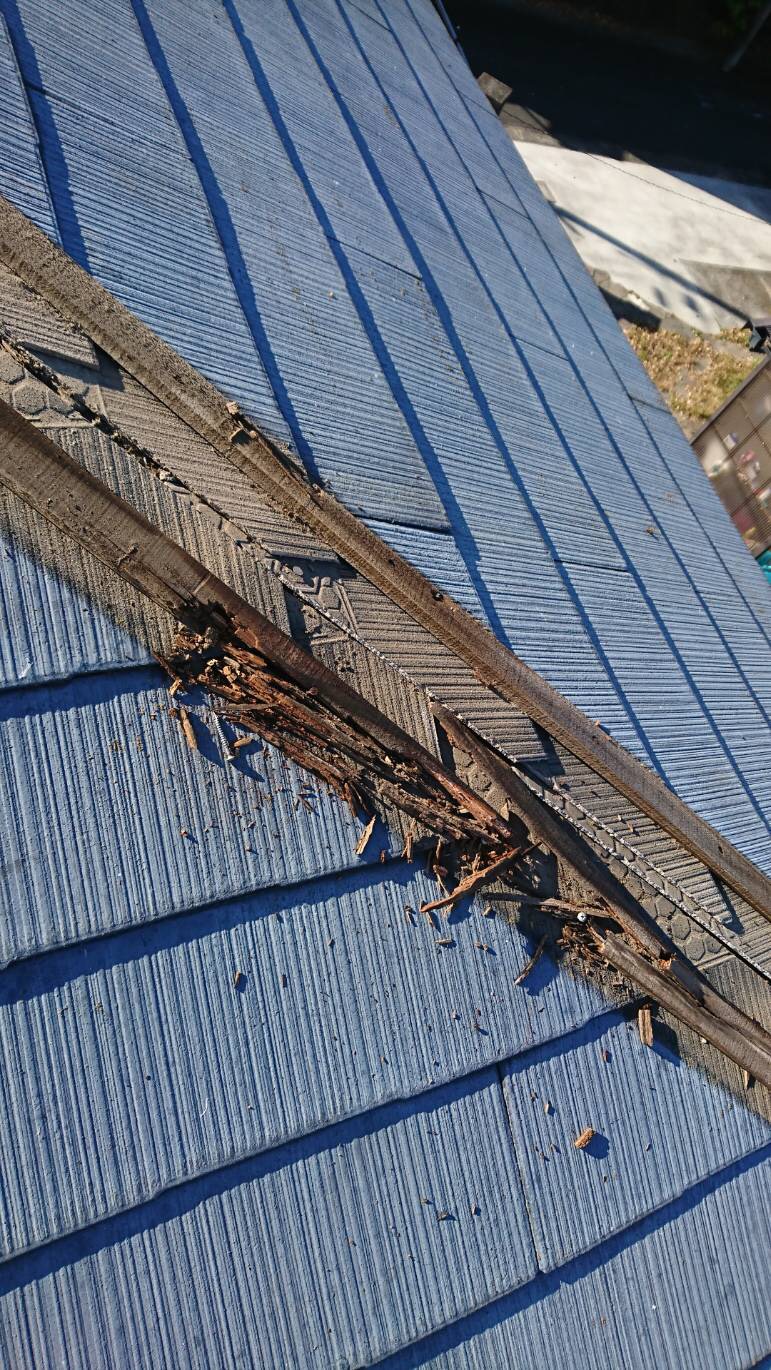 腐食してしまっている貫板